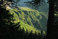 2015-07-01_2Drijaggenalm (266)b.JPG